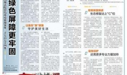 宁波二院爆料事件最新,真相与争议交织的医疗风波